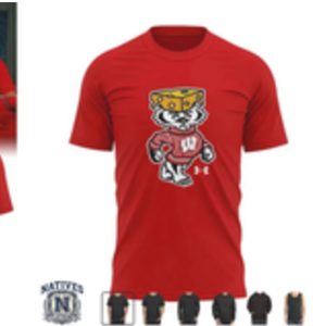 Wisconsin Badgers Cheesehead Title Town Football T Shirt