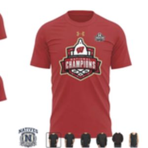 Wisconsin Badgers Women Ice Hockey National Champions T Shirt