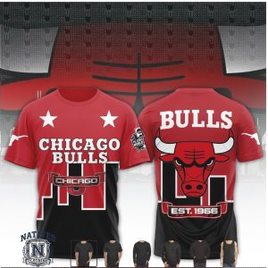 Chicago Bulls Established 1966 Graphic Hoodie